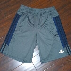 Adidas Men's shorts